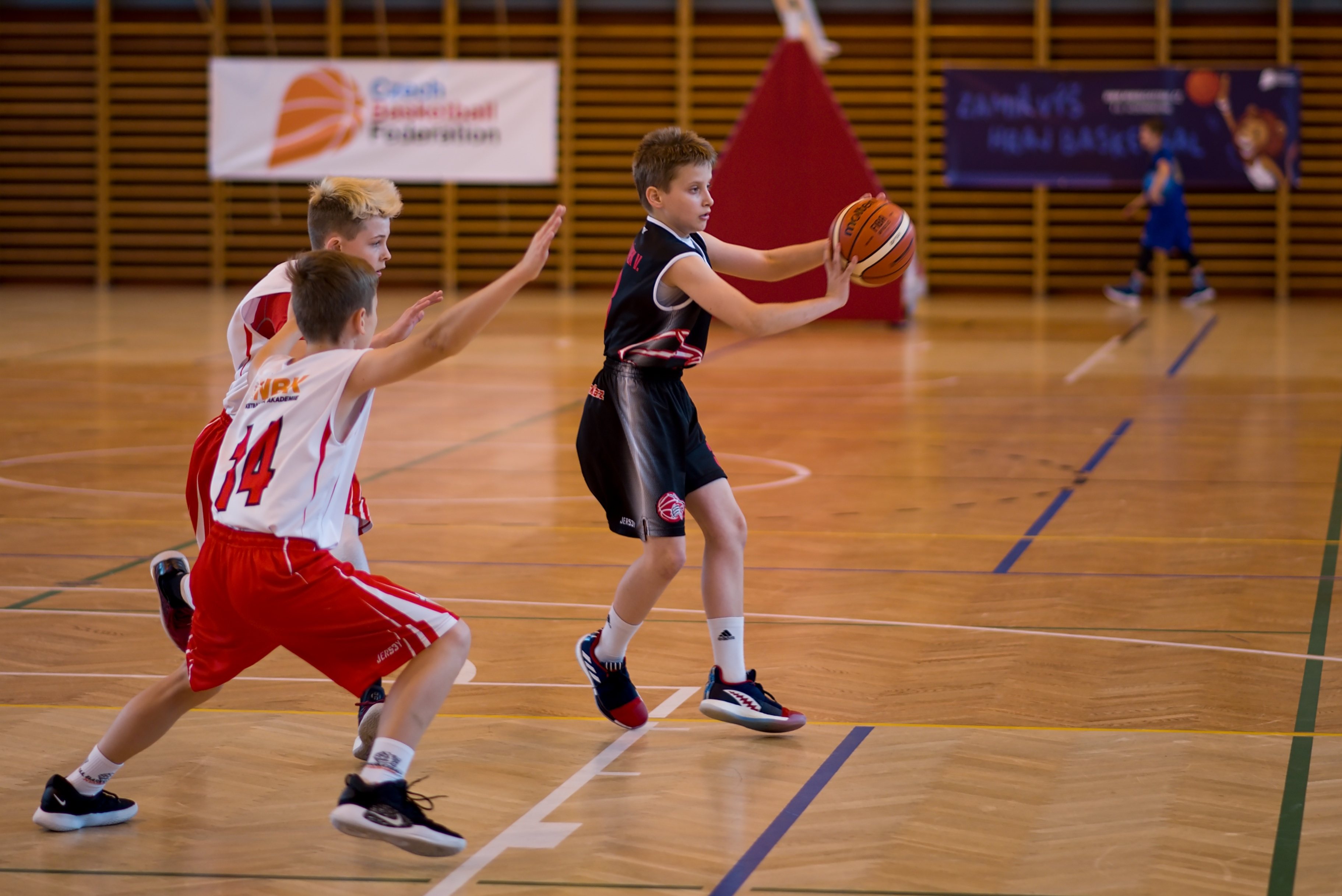  DSC5421 (1)